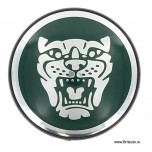 Заглушка центральная колесного диска Jaguar, зеленая, без надписи.