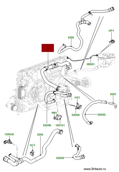 Шланг верхний радиатора Range Rover Evoque и Land Rover Discovery Sport, 2,0Л Бензин.