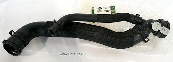 Шланг радиатора нижний 3,0Л - 5,0Л Бензин Range Rover 2014 - 2021 и Range Rover Sport 2014 - 2022. Оригинал Land Rover, в оригинальной упаковке.