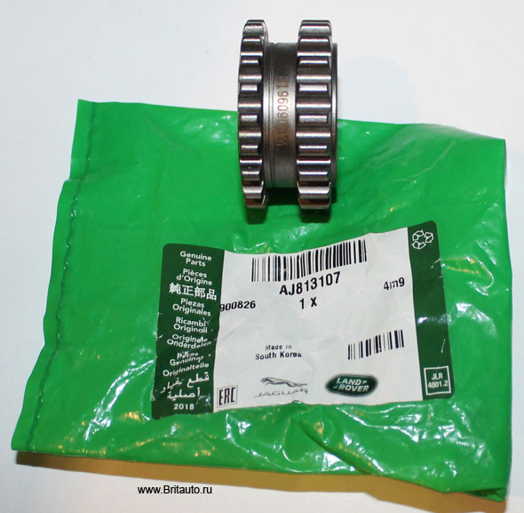 J1gd18311 best sale